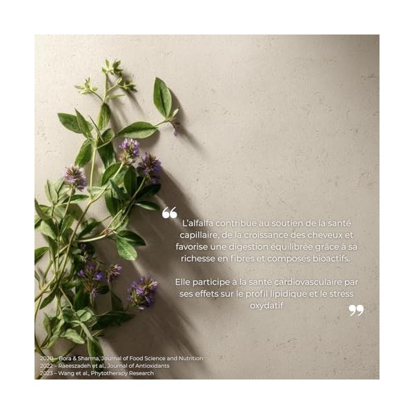 Alfalfa Pure – 500 mg par Gélule – Complément Alimentaire Naturel – 60 Capsules