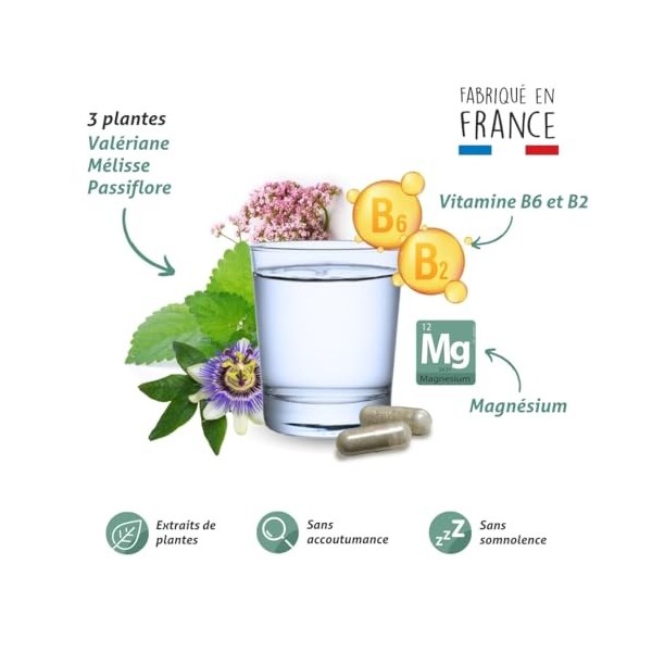 BLANCHE BRESSON - Phyto Sommeil Réparateur - Sommeil Réparateur & Détente - Mélisse, Valériane, Passiflore - Fabriqué en Fran