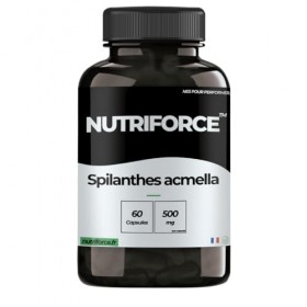 Spilanthes Acmella Pure – Extrait Concentré – 60 Gélules – Énergie & Tonus