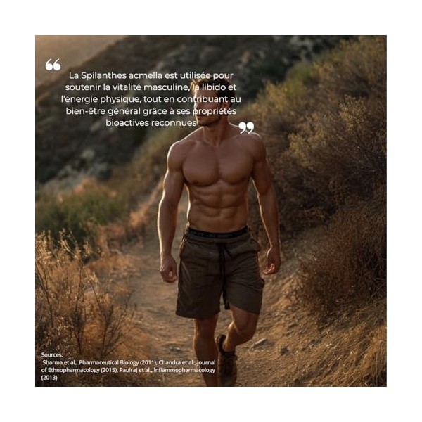 Spilanthes Acmella Pure – Extrait Concentré – 60 Gélules – Énergie & Tonus