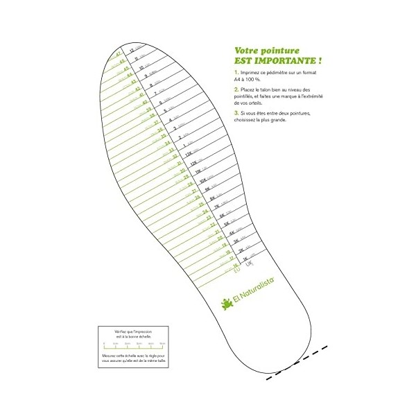 Valeriana Anis 20 Inf Naturalista