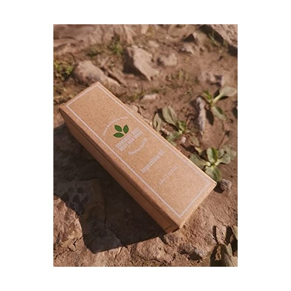 Huile de racine de valériane naturelle pour aider à réduire lanxiété