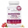 Bandini® Berberine 1000mg pure haut dosage | 180 comprimés vegan - Berberin HCl from Berberis Aristata 97% + Chromium et Poiv