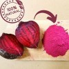 Poudre de Betterave Lyophilisée XL 300g | Poudre Lyophilisée 100% Betteraves Naturelle Fruit Sec | Fruits Seche Lyophilisateu...
