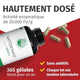 Green Naturals® Nattokinase 20 000 FU/g – 365 gélules – Hautement dosé 100 mg avec 2 000 FU par gélule – Qualité supérieure