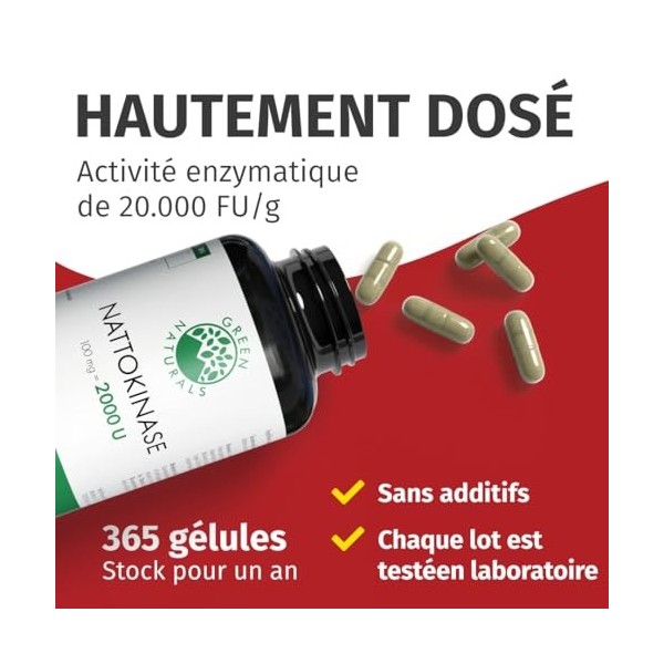 Green Naturals® Nattokinase 20 000 FU/g – 365 gélules – Hautement dosé 100 mg avec 2 000 FU par gélule – Qualité supérieure