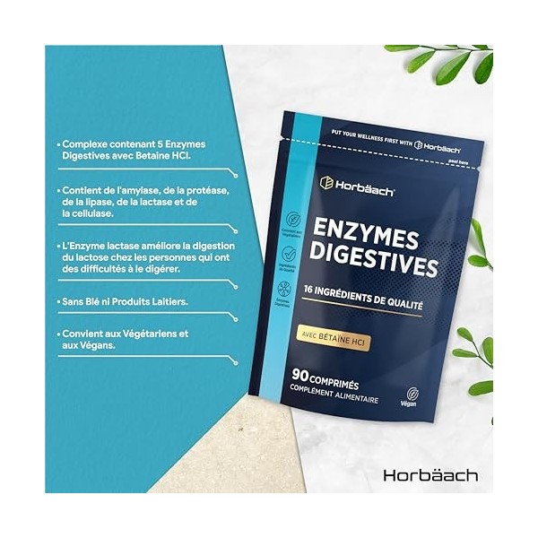 Enzyme Digestives Complexe avec Chlorhydrate de Bétaïne | Lactase, Protéase, Cellulase, Amylase, Lipase et Cellulase pour la 