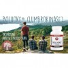Boluoke Lumbrokinase 30 gélules