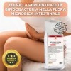 Bio Line - Inuline en poudre de chicorée soluble dans leau 1 kg, fibre végétale pour régularité intestinale, produits alimen