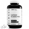 Lactase 14500 unités FCC. 365 comprimés végétaliens pour 1 an de traitement. Enzyme Lactase pour lintolérance au Lactose, au