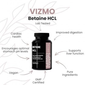 Betain HCL 650mg 120 gélules - Complément alimentaire denzymes digestives de qualité supérieure - Favorise une digestion sai