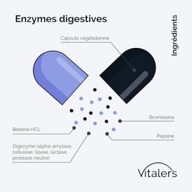 Enzymes digestives Vitalers - 60 gélules, Végétalien, 2 mois de supplémentation, Sans conservateur, Composition pure