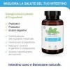 Bioactizen Plus 120 Cps Complément Ferments Lactiques Adultes, Probiotiques Et Prébiotiques Pour Intestin Avec Enzymes Digest