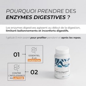 Enzymes Digestives Brevetées - CUURE - Lactase et Bromelaine - 60 Jours - Digestion et Intolérance au Lait - Pure et 100% Vég
