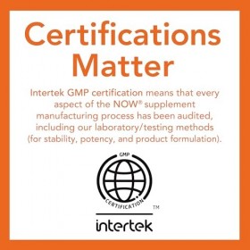 NOW Foods Plant Enzymes - 240 vcaps