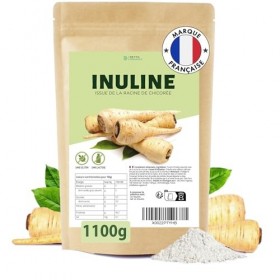 DETOX ORGANICA Inuline en Poudre 1 100 g 1,1 kg – 100% Pure de Chicorée – Sans Additifs, Vegan, Sans Gluten & Sans Lactose 