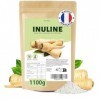 DETOX ORGANICA Inuline en Poudre 1 100 g 1,1 kg – 100% Pure de Chicorée – Sans Additifs, Vegan, Sans Gluten & Sans Lactose 