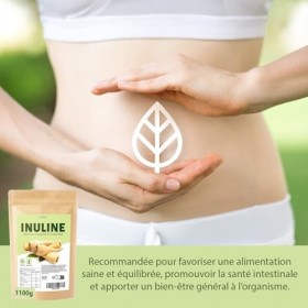 DETOX ORGANICA Inuline en Poudre 1 100 g 1,1 kg – 100% Pure de Chicorée – Sans Additifs, Vegan, Sans Gluten & Sans Lactose 