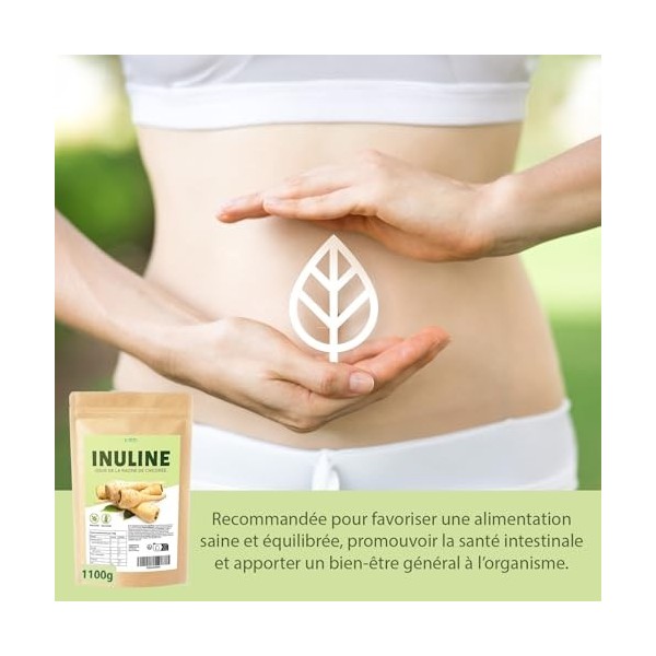 DETOX ORGANICA Inuline en Poudre 1 100 g 1,1 kg – 100% Pure de Chicorée – Sans Additifs, Vegan, Sans Gluten & Sans Lactose 