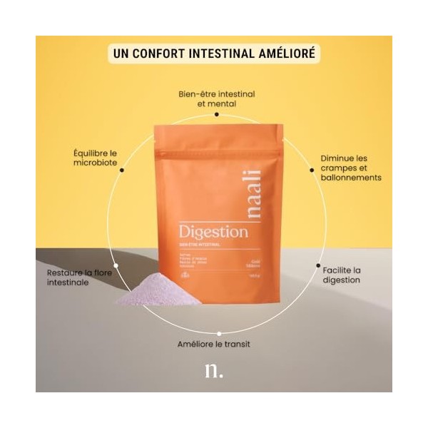 Naali Digestion Prébiotique Poudre À Diluer 169,5g – Safran, Fibres D’Acacia & Mastic De Chios – Confort Intestinal, Microbio