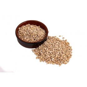 IGART Orge Perlé 2kg | Idéal pour la Soupe, les Salades ou le Ragoût | Riche en Protéines naturelles et en Fibres Alimentaire...