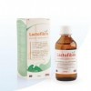 Lactofibre – Constipation Douce & Transit Lent | Fibres Solubles + Lactitol | Femme Enceinte & Allaitante | Goût Prunes | San