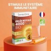 Santarome - Gelée Royale 4000mg Bio - Complément alimentaire immunité - Fortement dosé en Gelée Royale Bio 4000mg - Lot de 3 