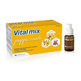 Vitalmix Pappa Real 10 Flacons X10 ml S/G - 40 g