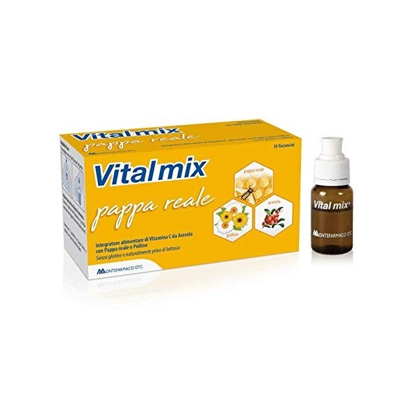 Vitalmix Pappa Real 10 Flacons X10 ml S/G - 40 g
