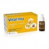 Vitalmix Pappa Real 10 Flacons X10 ml S/G - 40 g