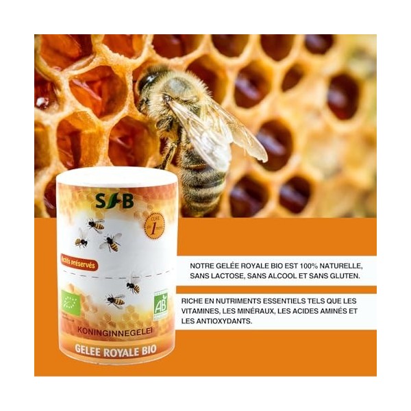 GELÉE ROYALE 100% FRAÎCHE ET BIO - 30 g