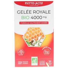 Phyto-Actif | Gélules Gelée Royale Bio 4000mg | Trésor de la ruche | riche en 10-HDA | Bio & Vegan | 20 Ampoules | Fabriqué e