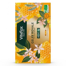 GELÉE ROYALE Bio 4000 mg | Boite de 10 Ampoules | La Plus Dosée en Pharmacie | Programme de 10 jours | VITAFLOR Gelée royale