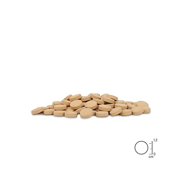 Comprimés de levure de bière ReaVET pour Chiens, 500 pièces - entièrement naturels, de qualité supérieure, pour Un Pelage Bri