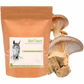 Levure de Bière pour Cheval – Soutien Digestion, Flore Intestinale et Prise d’État – Riche en Protéines & Vitamines B – Compl...