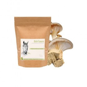 Levure de Bière pour Cheval – Soutien Digestion, Flore Intestinale et Prise d’État – Riche en Protéines & Vitamines B – Compl...