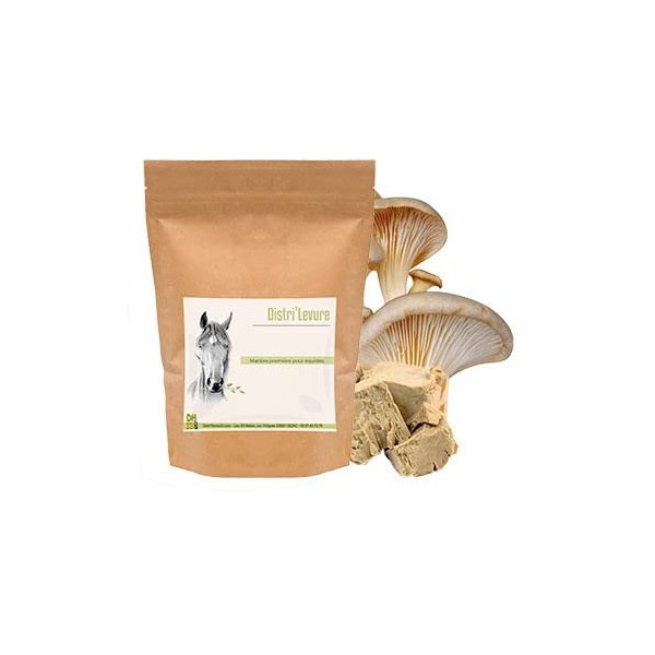 Levure de Bière pour Cheval – Soutien Digestion, Flore Intestinale et Prise d’État – Riche en Protéines & Vitamines B – Compl...