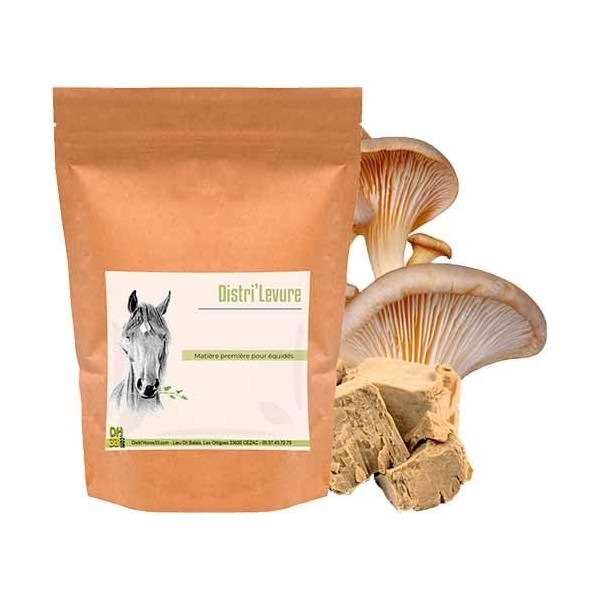 Levure de Bière pour Cheval – Soutien Digestion, Flore Intestinale et Prise d’État – Riche en Protéines & Vitamines B – Compl...