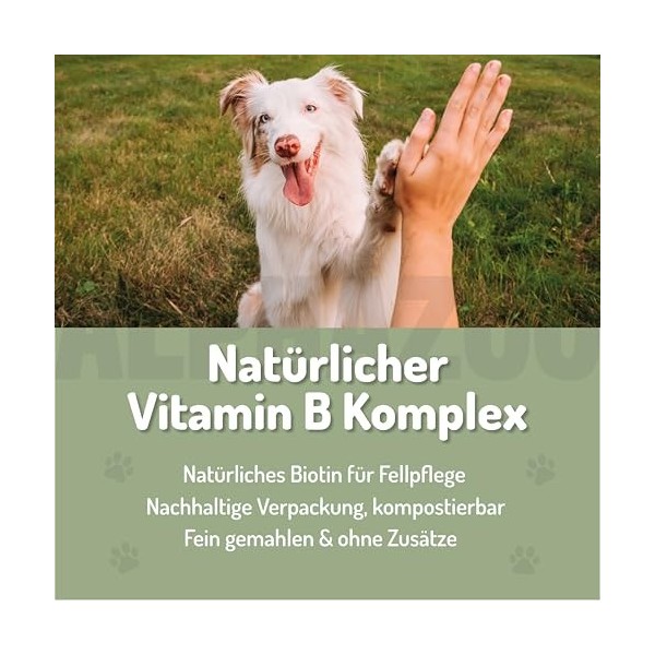 alphazoo Levure de bière en poudre pour chiens et chats 250 g - Levure pure avec complexe de vitamine B et biotine - Compléme