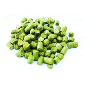 AlcoFermBrew Houblons en en Comprimés Columbus100g - Houblon, Pellets de Houblon
