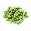 AlcoFermBrew Houblons en en Comprimés Columbus100g - Houblon, Pellets de Houblon