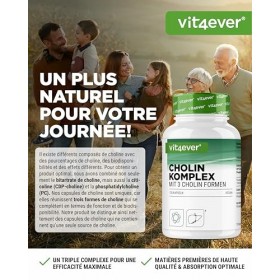 Complexe de choline avec 3 formes de choline - 120 gélules - Bitartrate, Citicoline & Phosphatidylcholine en combinaison syne