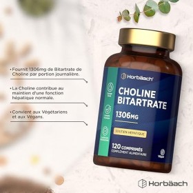 Choline Bitartrate 1305 mg Par Portion | 120 Gélules Vegan | 534mg de Choline | pour Métabolisme et Soutien Hépatique | Bitar