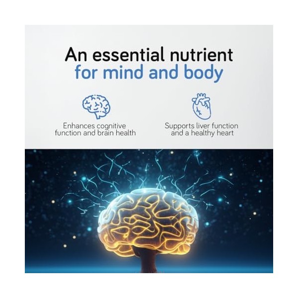 Ambervit Choline à haute dose 700 mg 150 gélules 5 mois Fonction hépatique, métabolisme lipidique, mémoire et fonctions céréb