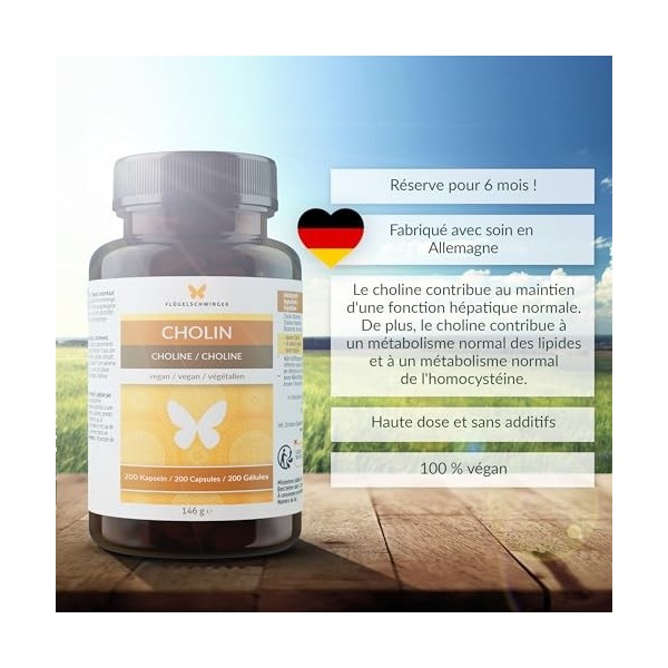 200 gélules de choline pour 6 mois, pour un métabolisme lipidique normal et une fonction hépatique normale, sans additifs, vé