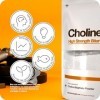 Bitartrate de choline en poudre - Améliorer la fonction cognitive | Améliorer lattention et la concentration | Promouvoir la