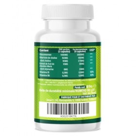 GREEN BURN® Capsules anti-appétit – Extrêmement dosé avec glucomannane, choline, vitamine B1 + B6 – Complément alimentaire po