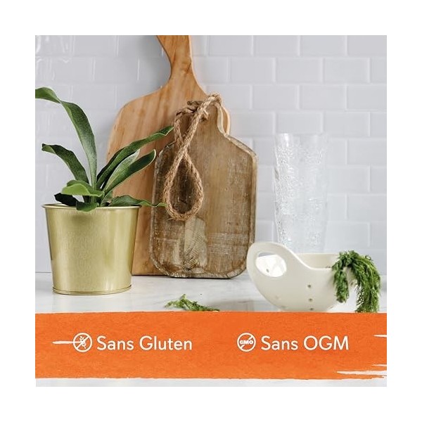 Now Foods, Lecithin Lécithine de Soja , 1.200mg, Hautement Dosé, 200 Capsules molles, Sans Gluten, Sans OGM