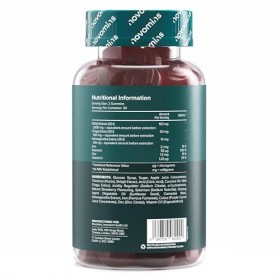 Gommes à mâcher au shilajit – Shilajit haute concentration 2000 mg avec ashwagandha, chaga, zinc, fer, sélénium et vitamine D