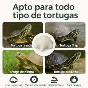 MOLY Lot de 15 comprimés de carbure de calcium dissoluble pour tortues deau | Renforce la carapace et neutralise le pH